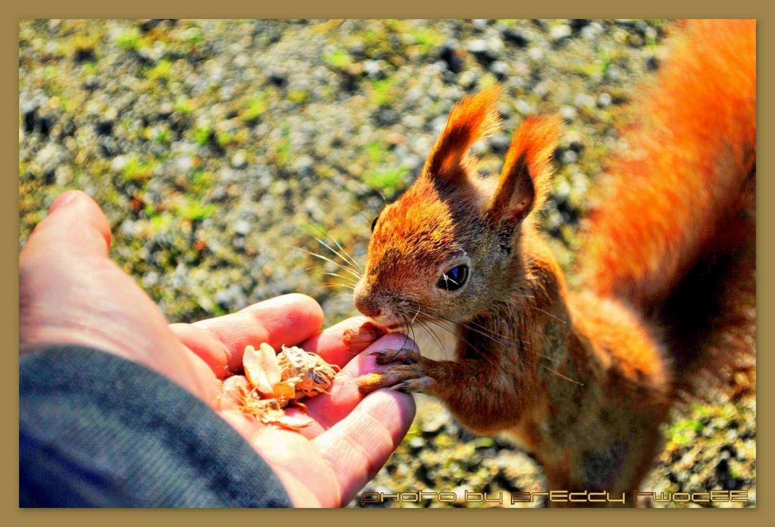 Futterpause im Herbst