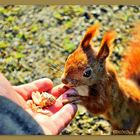 Futterpause im Herbst