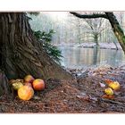 Futterplatz am Waldsee