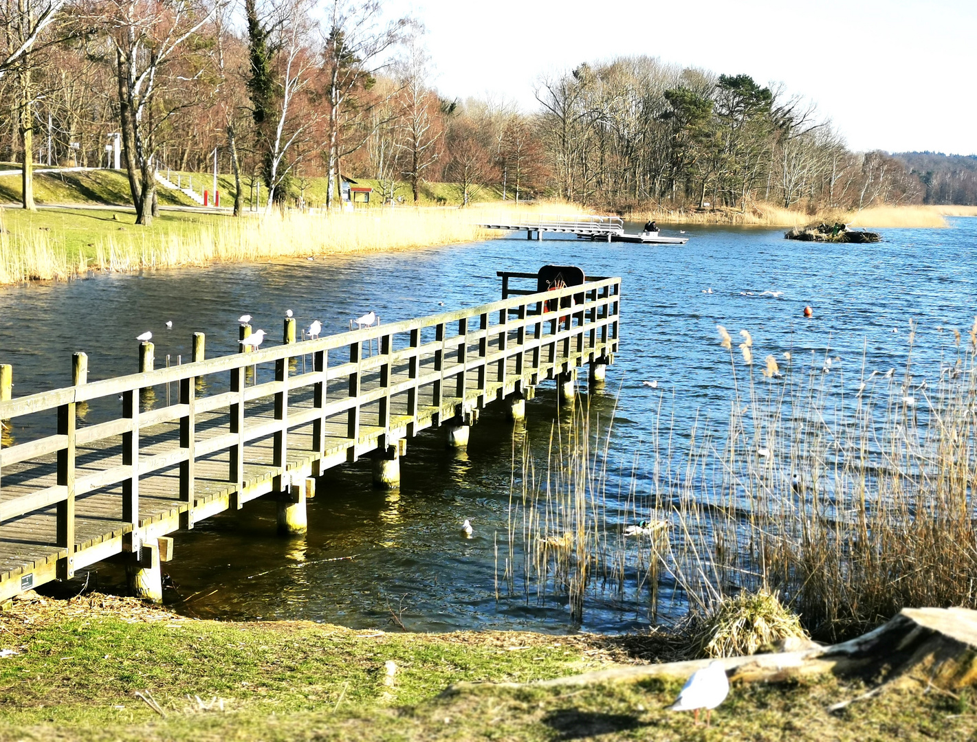 Futterplatz der Vögel Foto & Bild landschaft, bach, fluss & see, see