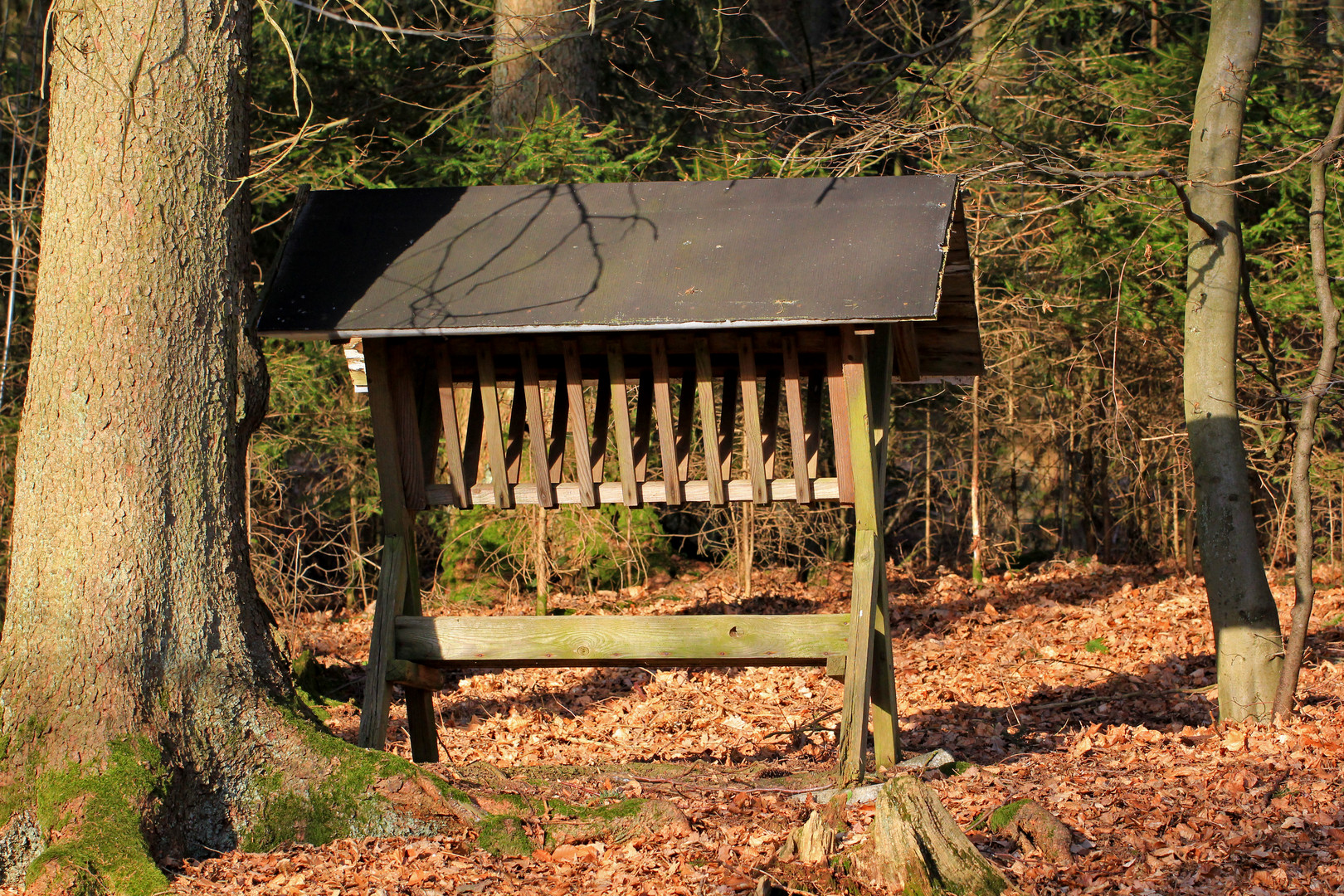 Futterstelle für Notleidendes Wild im Winter