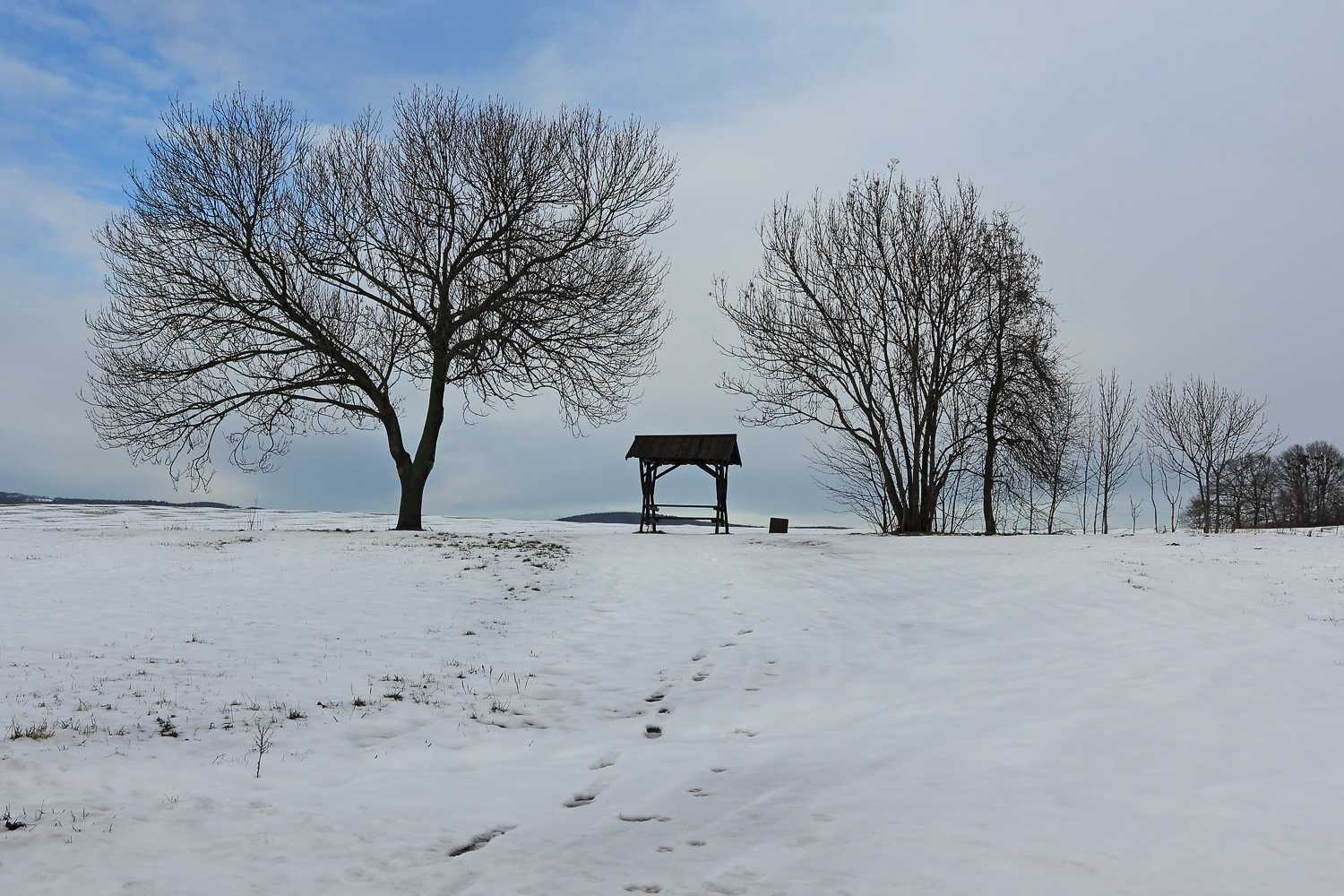 Futterstelle im Schnee