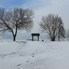 Futterstelle im Schnee