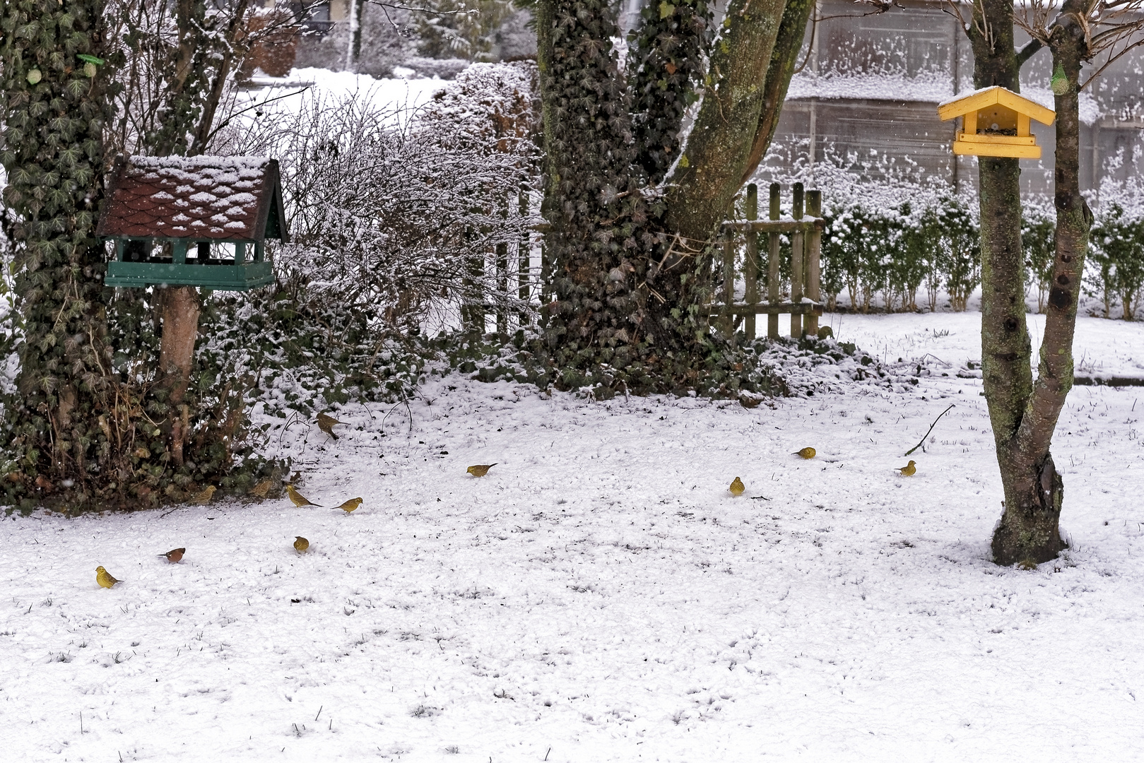 Futterstelle in unserem Garten.