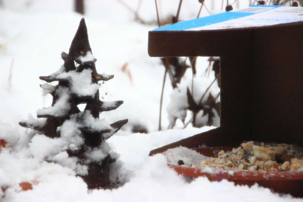 Futterteller_100_4244-Schneeschutz