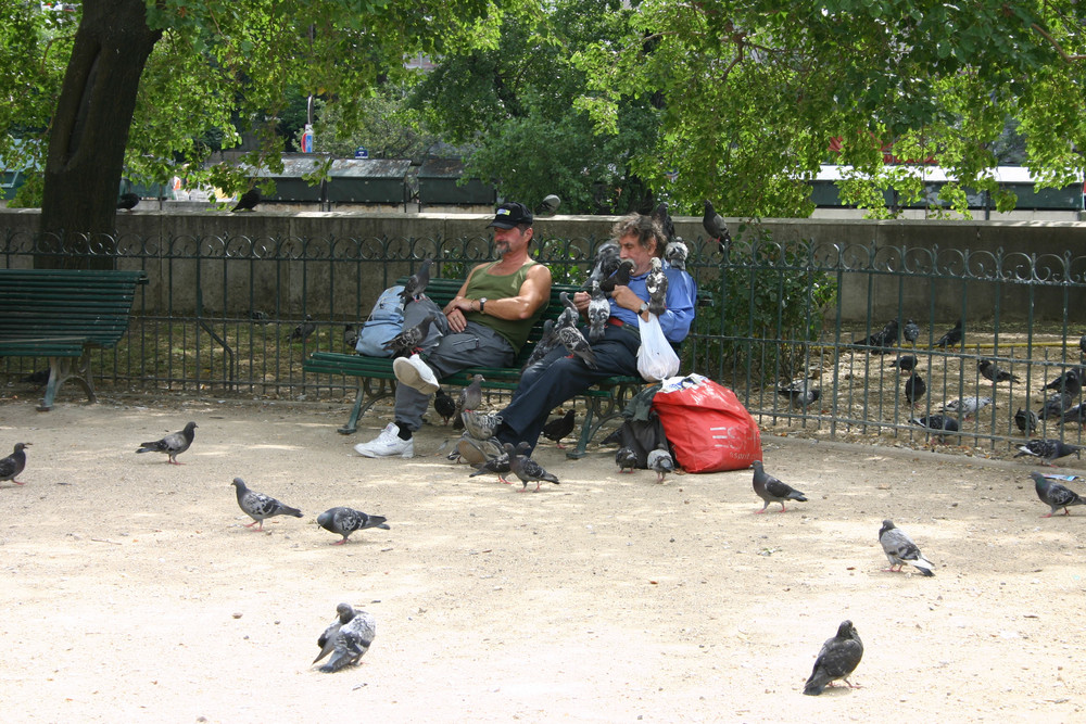 Futterzeit in Paris