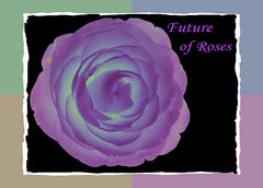 Future of Roses