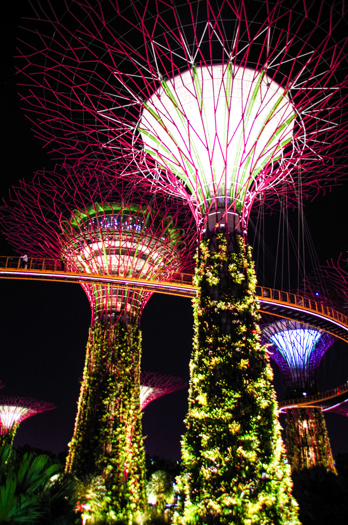 Future Trees Foto & Bild monatswettbewerbe, 06 architektur bei