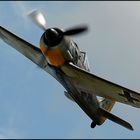 FW 190