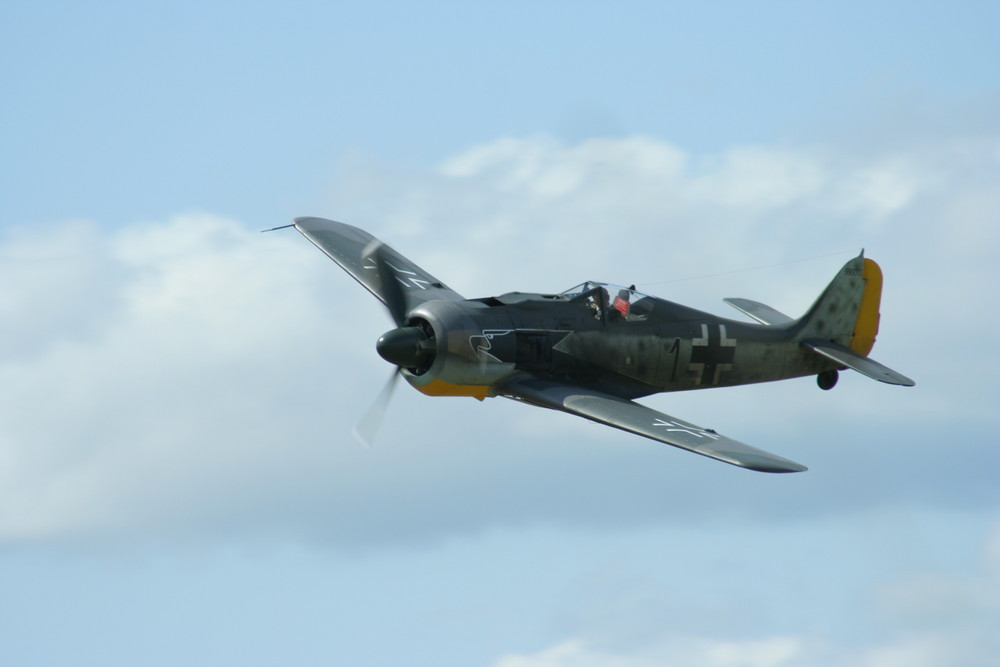 FW 190