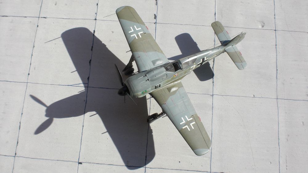 FW-190 A-8 (1/48)...3