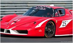 FXX - close-up