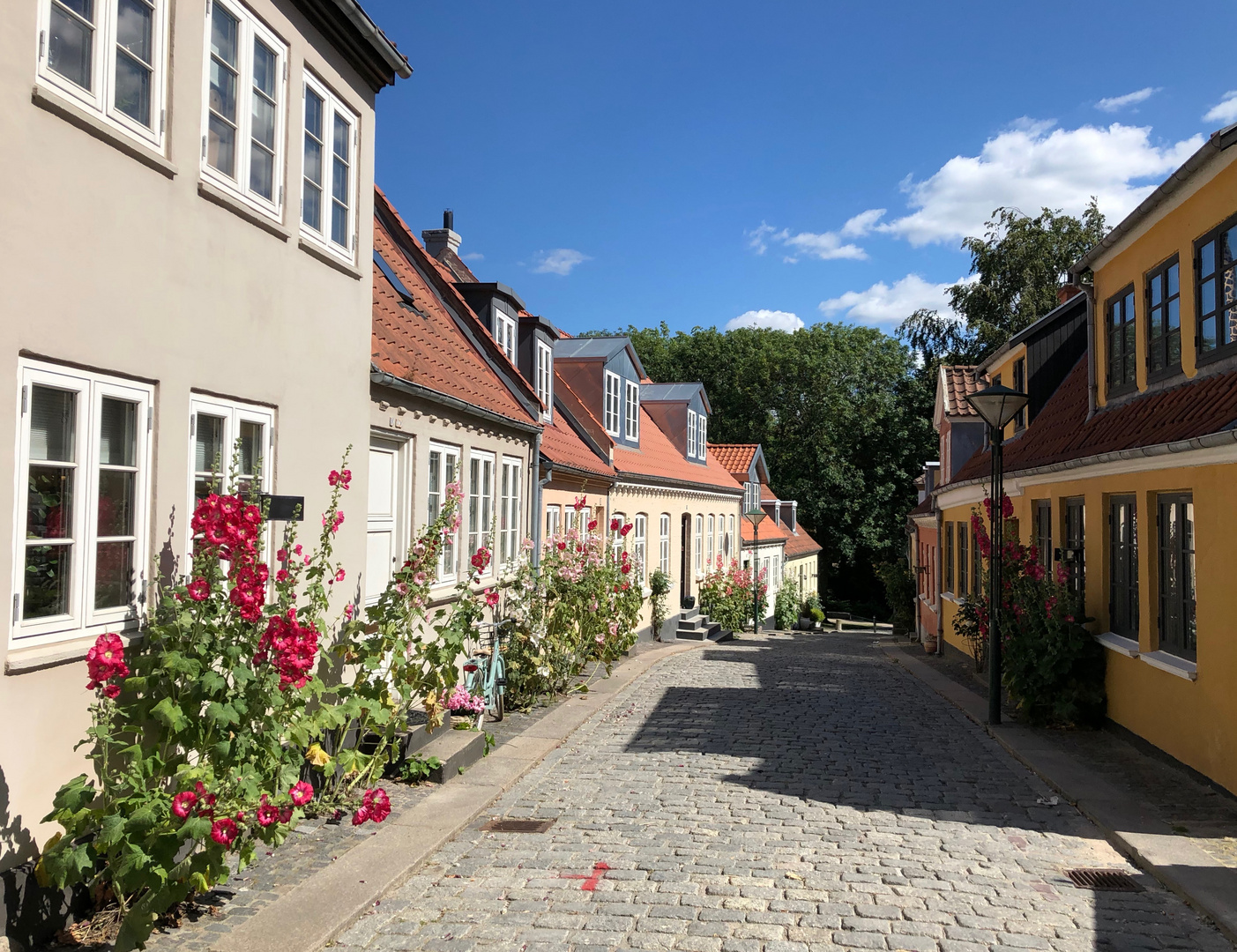 Fyn-Odense