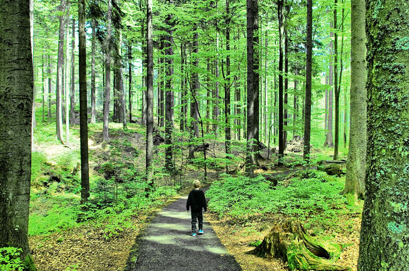 Fynn im Märchenwald