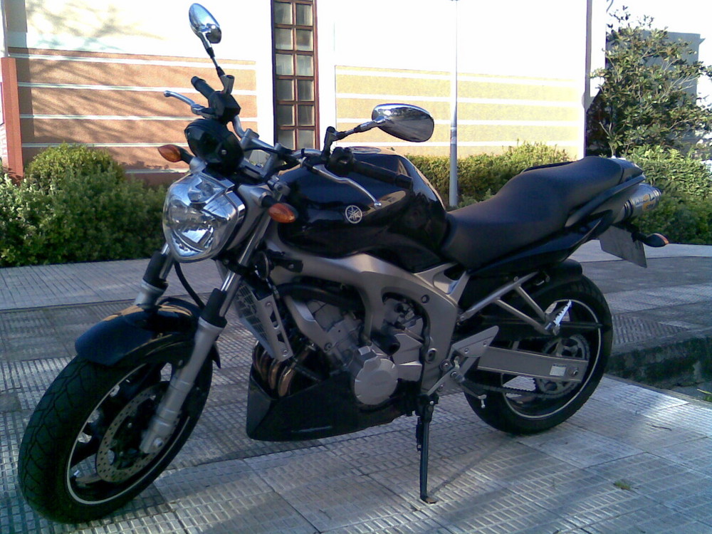 fz6