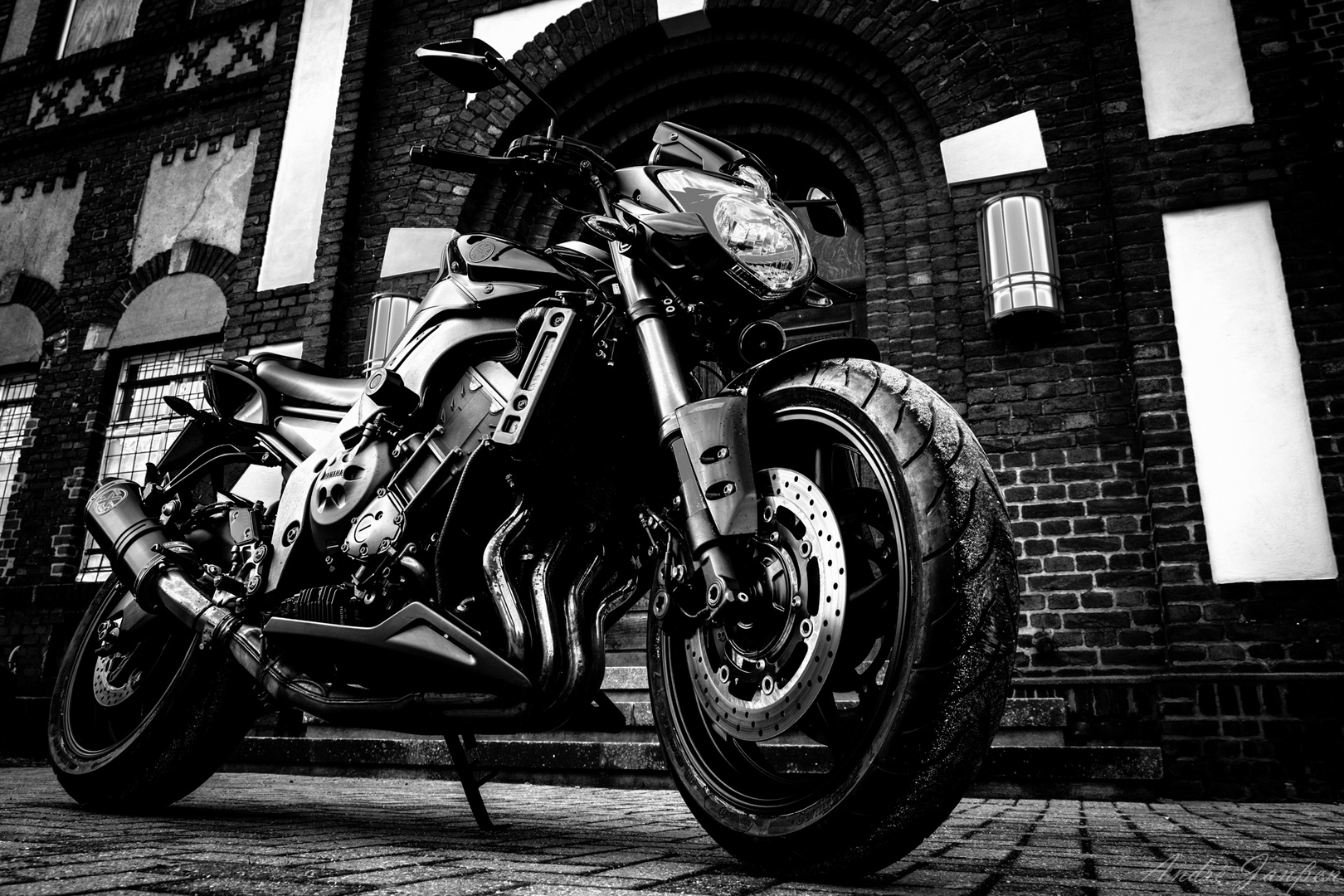 FZ8 - Black & White