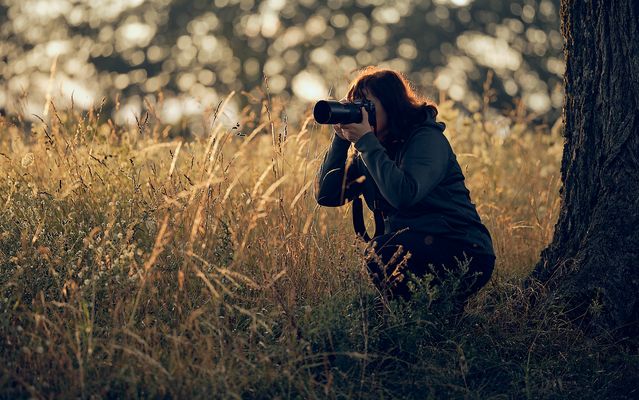 G e g e n l i c h t f r e u d e