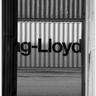 G-Lloyd