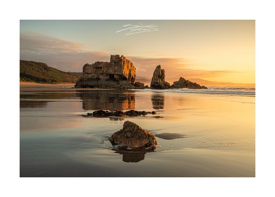 [ g o l d e n b r o w n ]