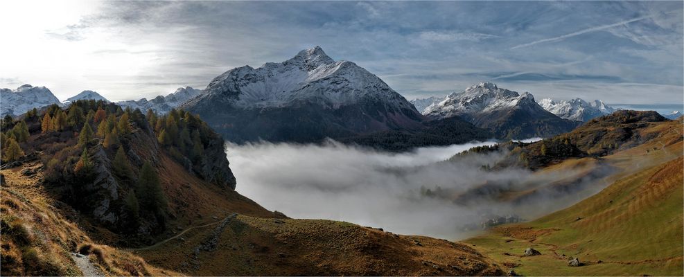 G R E V A S A L V A S