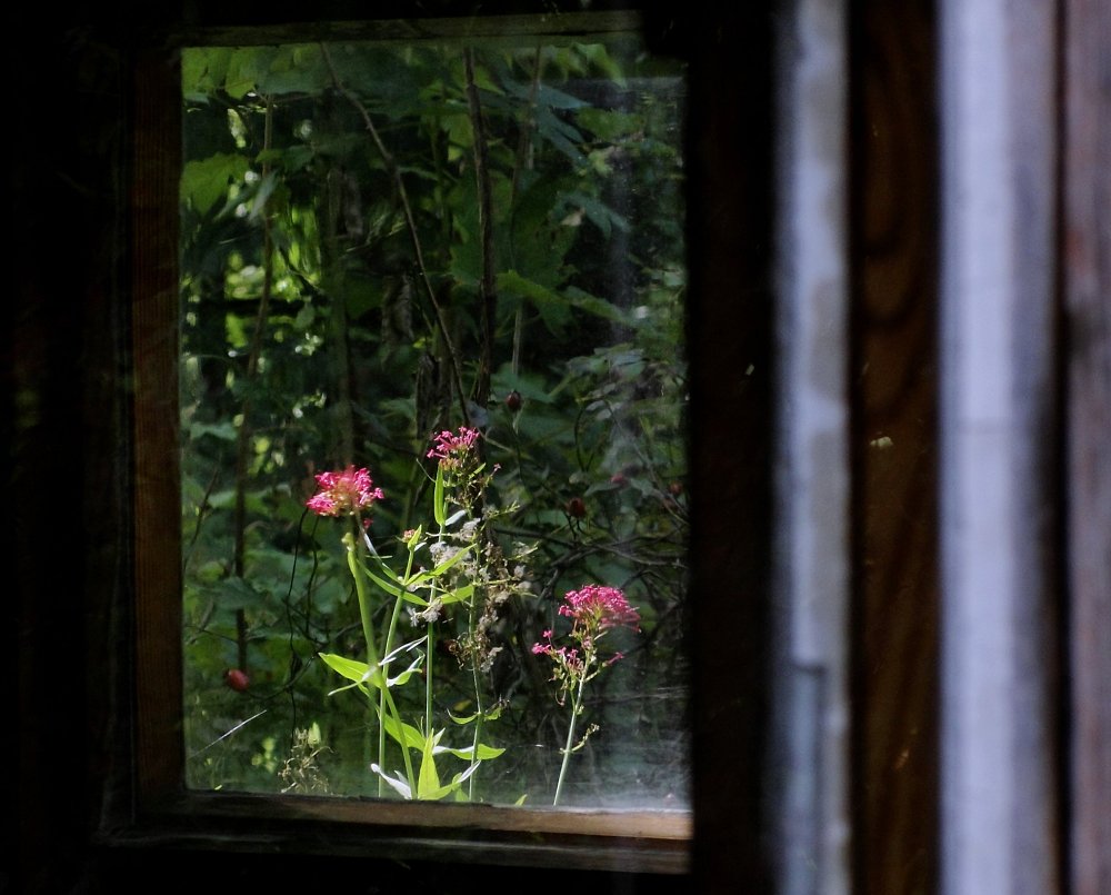 G-Windows, Flowers