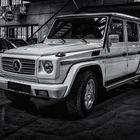 G55