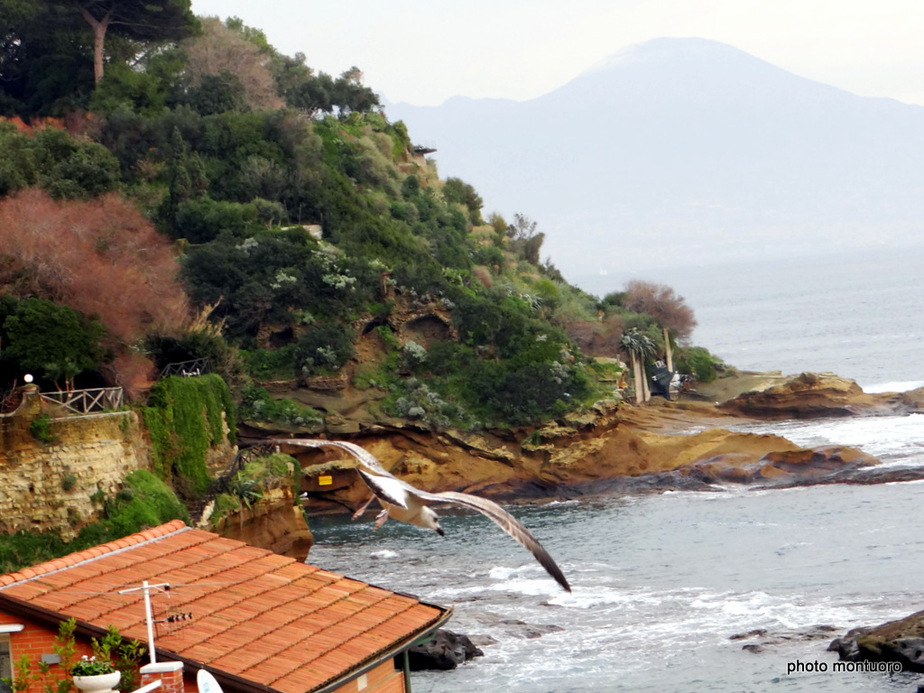 gabbiani a marechiaro