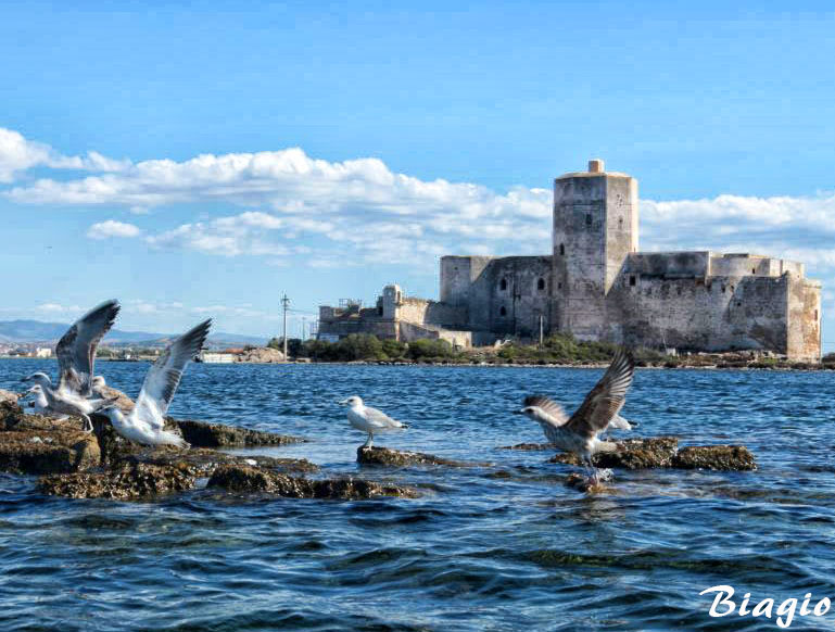 Gabbiani alla Colombaia di Trapani