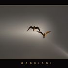 GABBIANI