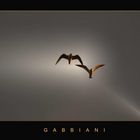 GABBIANI