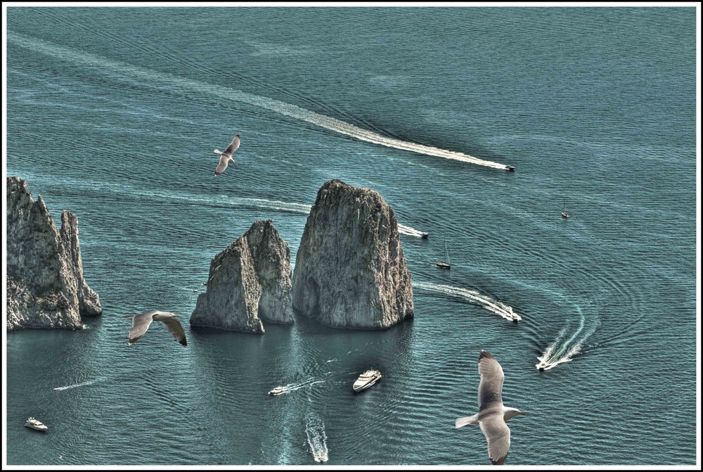 Gabbiani sopra i Faraglioni di capri..................