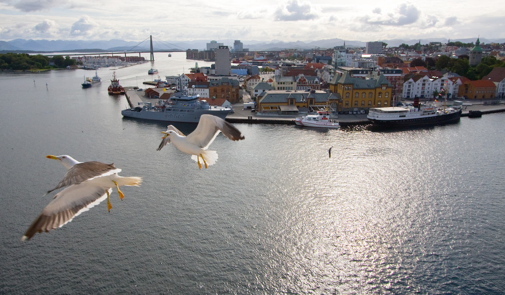 Gabbiani sul porto di Stavanger