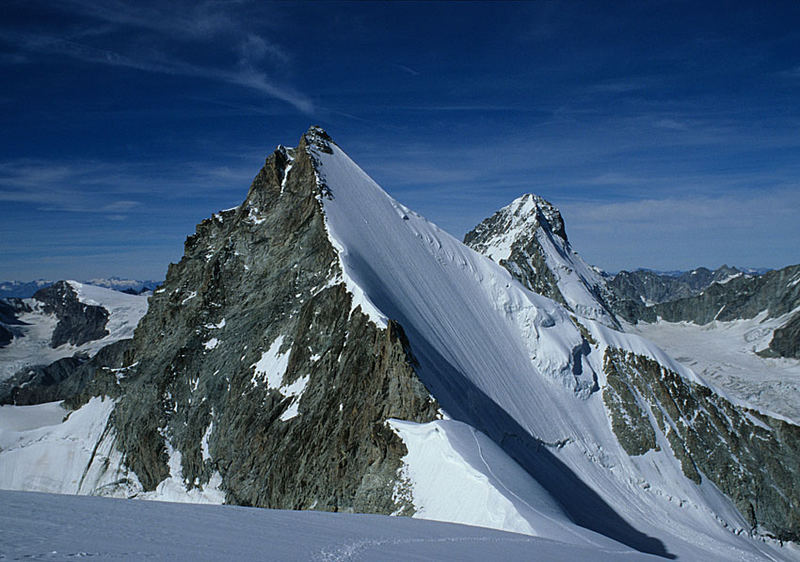 Gabeliges Horn und weisser Zahn