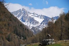 Gabelspitze im Knuttental