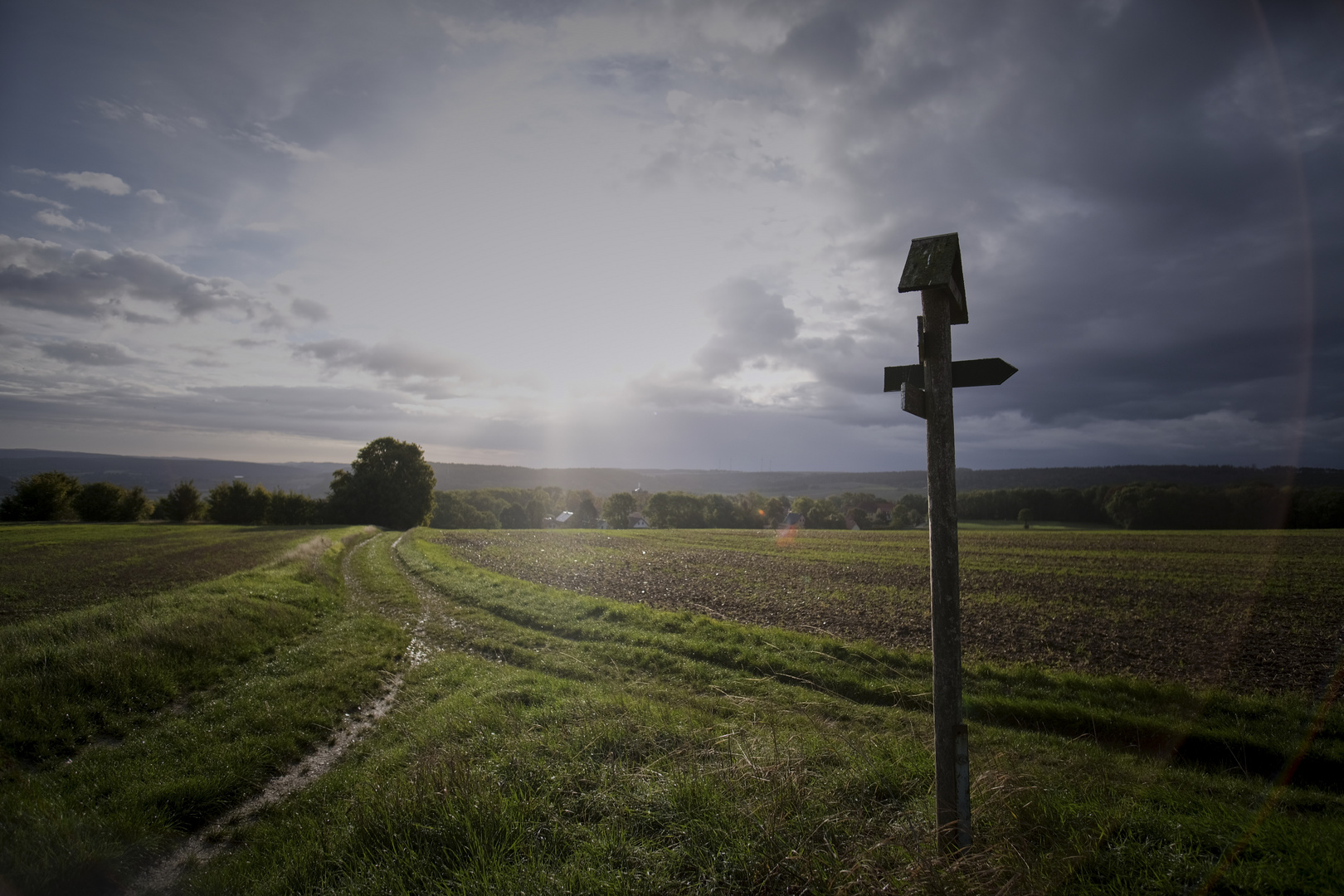 Gabelung am Botenweg