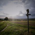 Gabelung am Botenweg