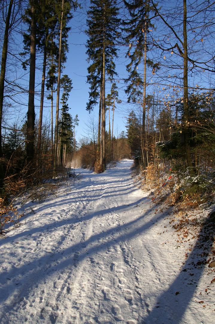 Gabelung und Schatten