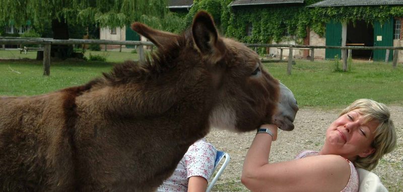 Gabi und der Esel