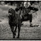 Gabis Hund - er tut nichts, sagt sie.