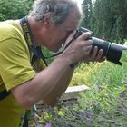 User Profile Photo