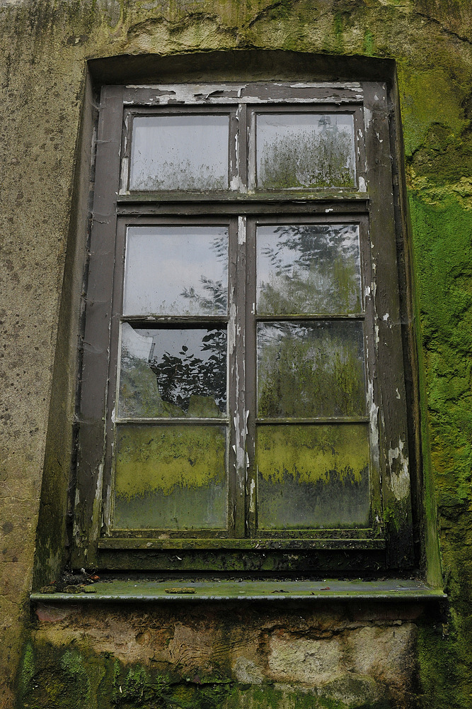 Gadebusch, Schloss – Fenster