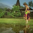 Gadis Bali....