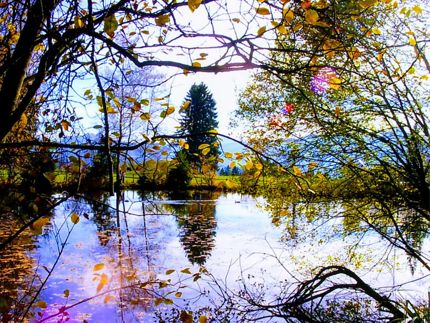 Gäbris Moor im Herbst