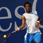 Gael Monfils