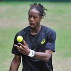 Gael Monfils ( FRA )