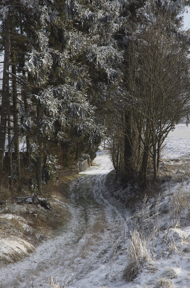 Gänsberg Weg