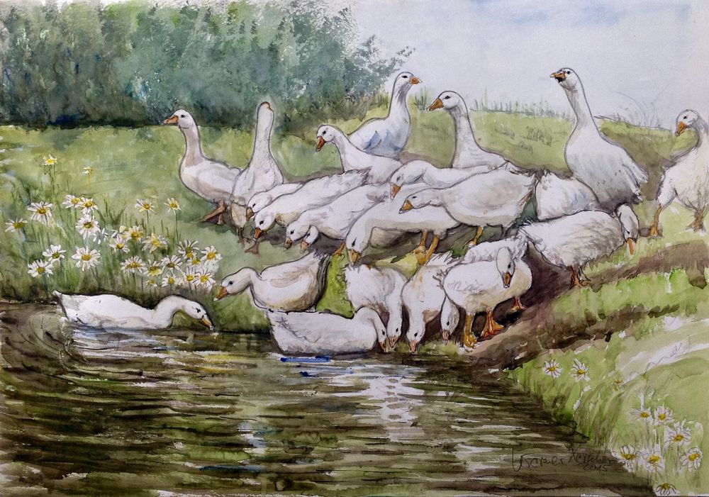Gänse am Teich Foto & Bild kunstfotografie & kultur, gemälde