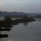 Gänse erhoben sich aus dem Nebel