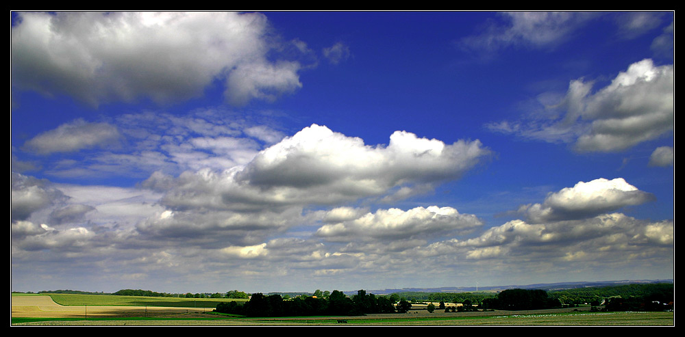 gänse - felder - wolken - blau