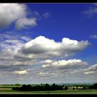 gänse - felder - wolken - blau